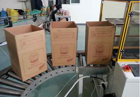 900ml枕式桶裝油全自動裝箱機(jī)